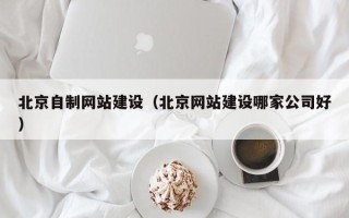 长沙北京自制网站建设（北京网站建设哪家公司好）