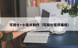 长沙可视化+小程序制作（可视化程序编程）
